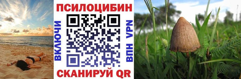 Галлюциногенные грибы GOLDEN TEACHER  Лесосибирск 